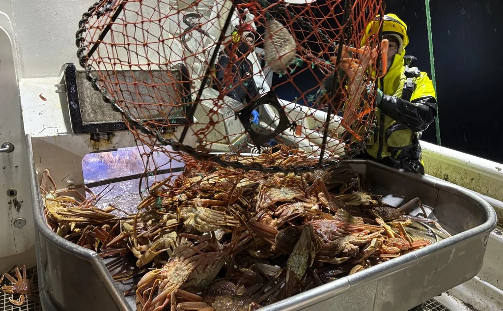 Snow crab pot operations aboard MV Vima